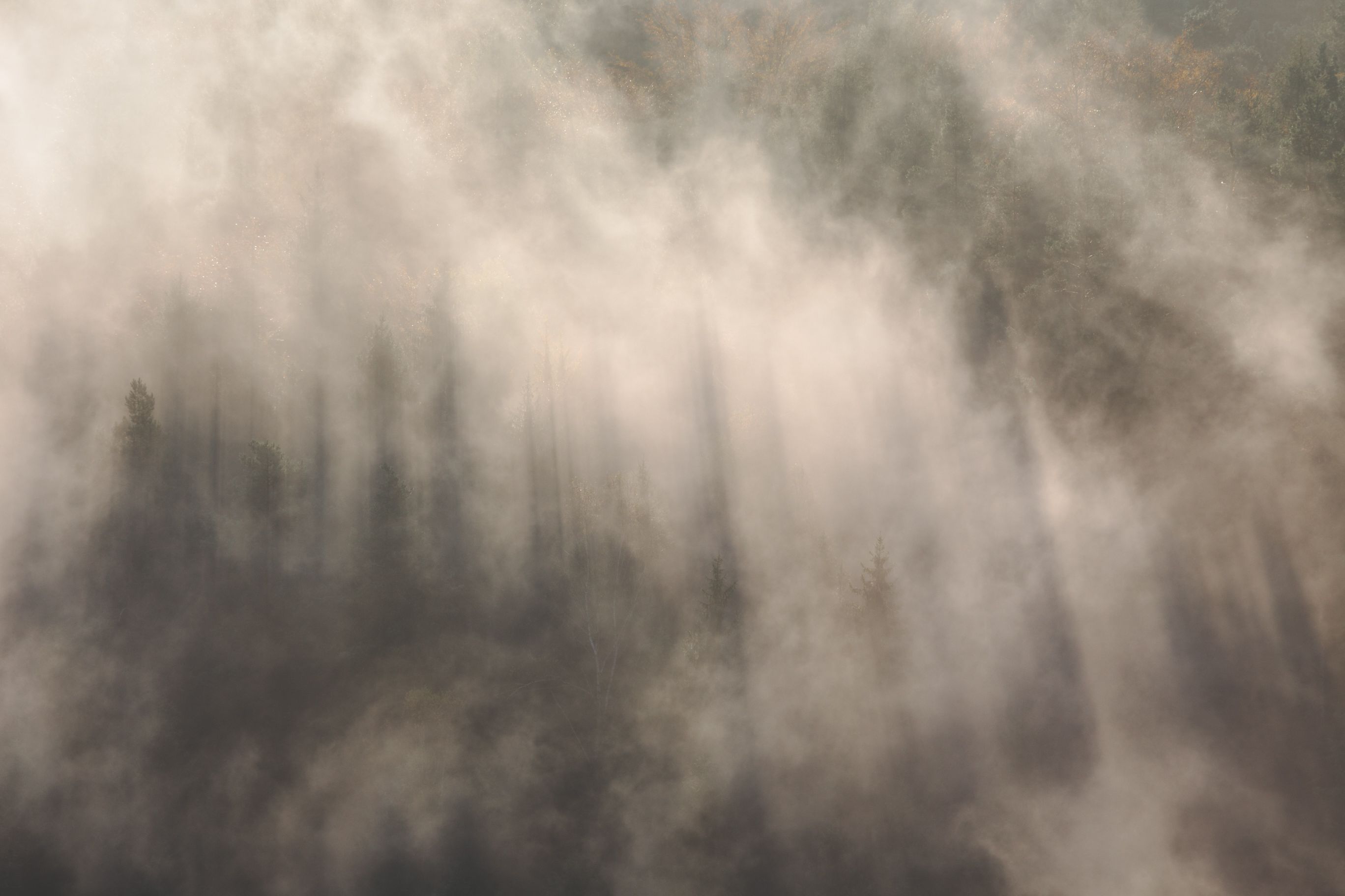 Bild eines Landes im Nebel
